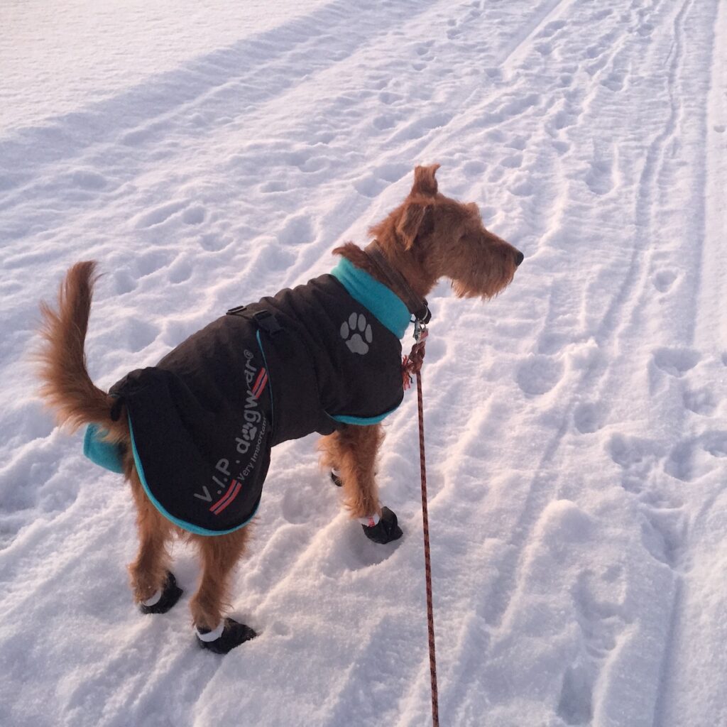 Greta in Lappland bei -20° C