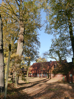 Bauernhof mit alten Bäumen