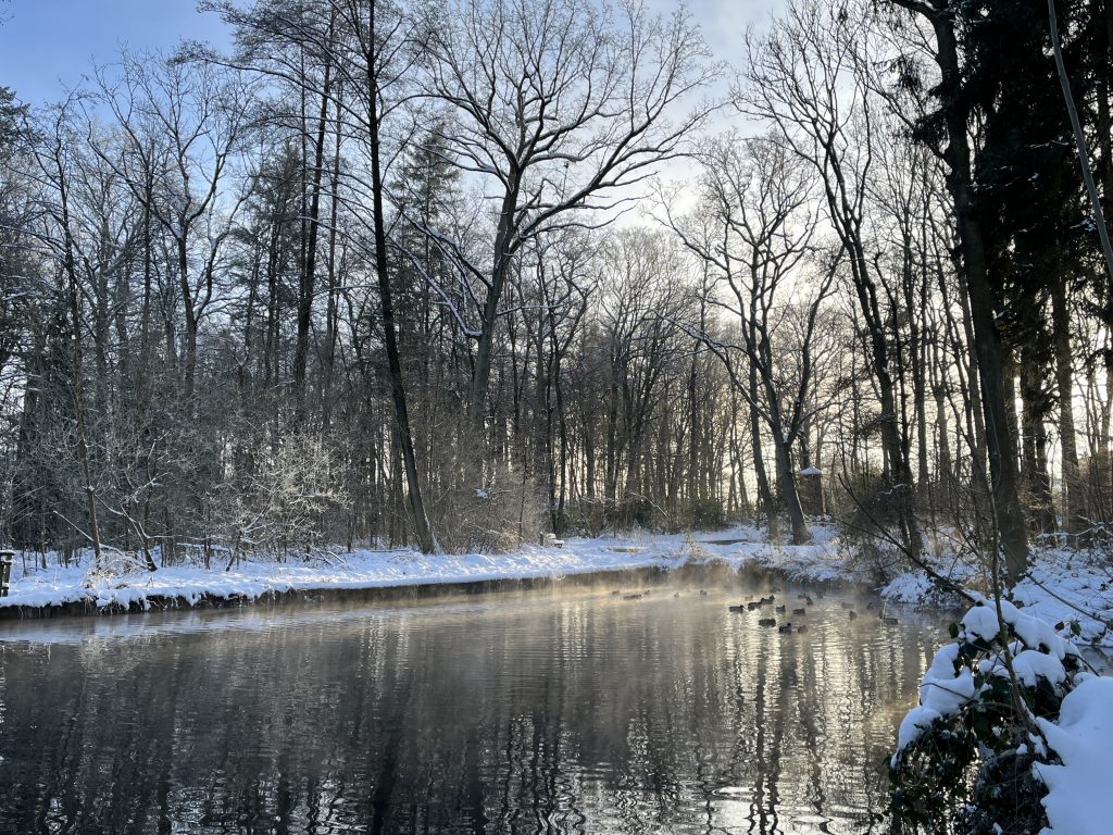 Ententeich im Schnee