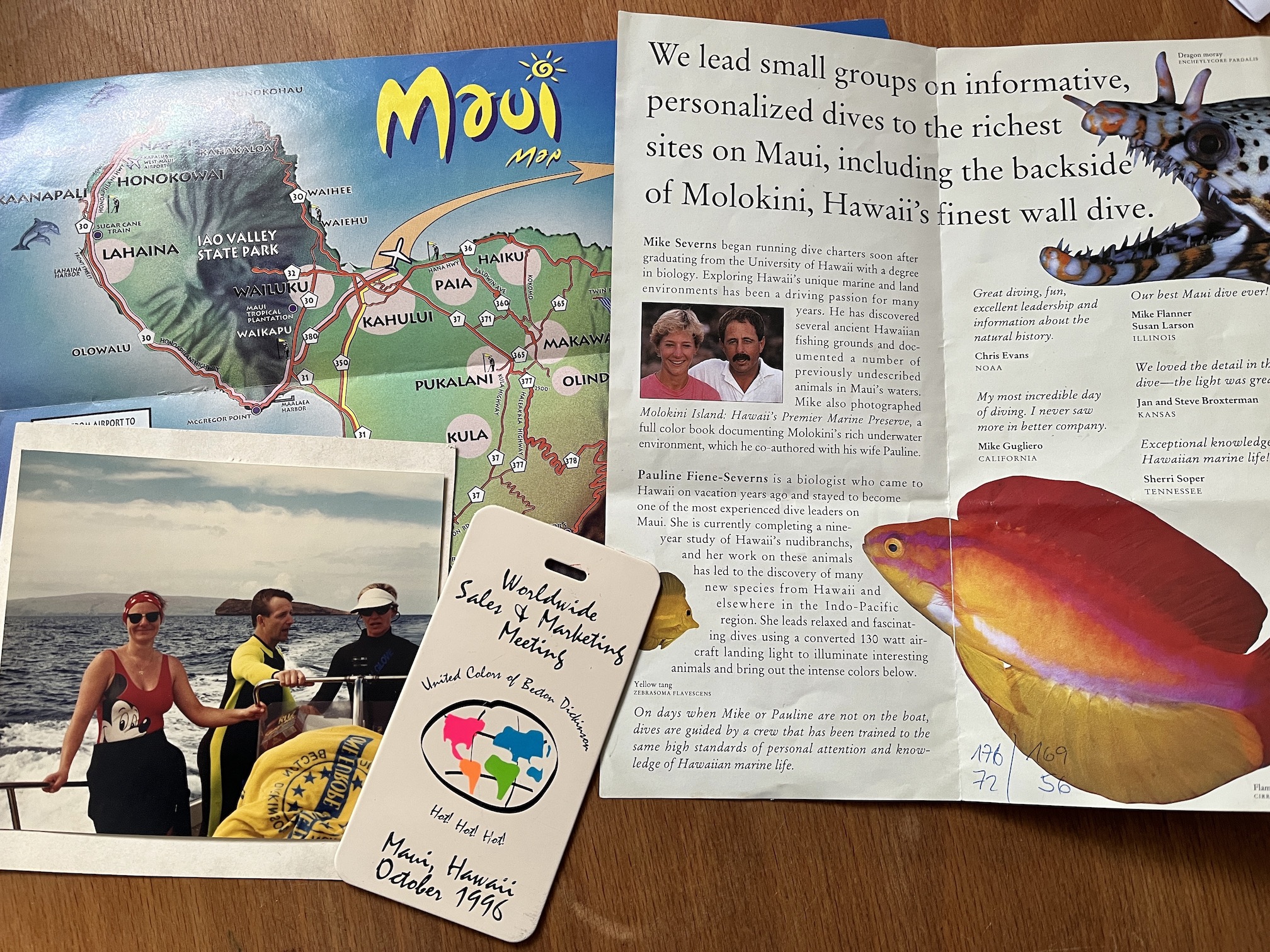 Collage 196 Maui