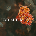 Wollust – sie wird immer mehr!