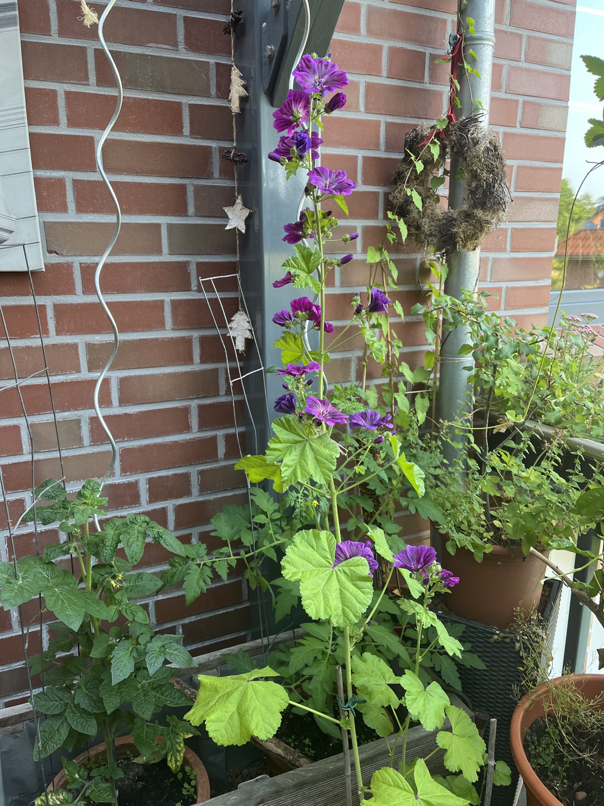 Outdoorwohnzimmer